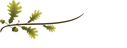 Twig-cnv