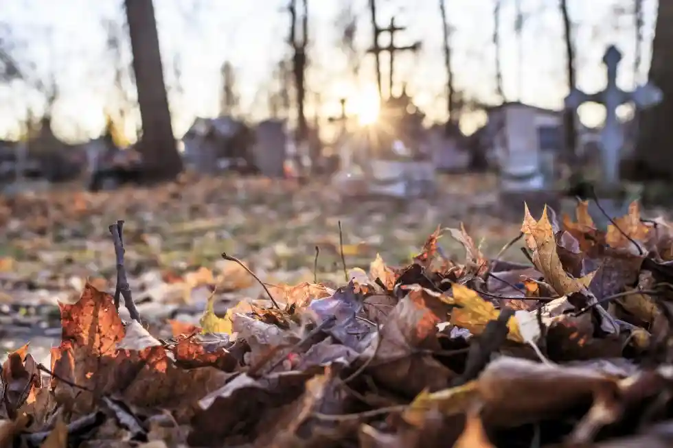 blog bg 1 - Oak Funeral Services