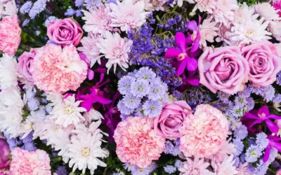 Organising and planning the funeral