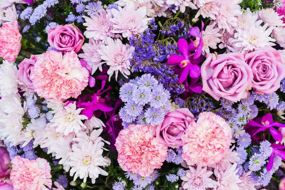blog bg 3 - Oak Funeral Services